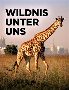 不负时光不负卿