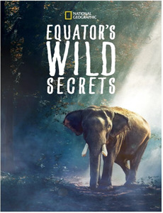 英雄联盟：双城之战版